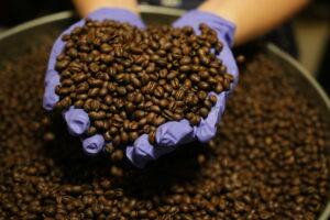 El Salvador beans dark roast Coffee Beans