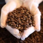 Blend Whole Bean Ground Bean Guatemalan Guatemala Kafetos