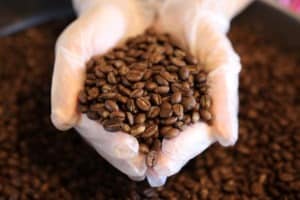 Blend Whole Bean Ground Bean Guatemalan Guatemala Kafetos