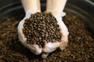 Nerd Java Colombian coffee beans in a tin can with hands