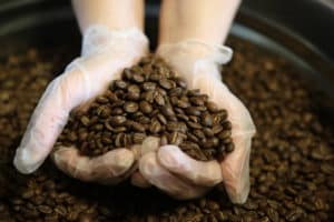 Nerd Java Colombian coffee beans in a tin can with hands
