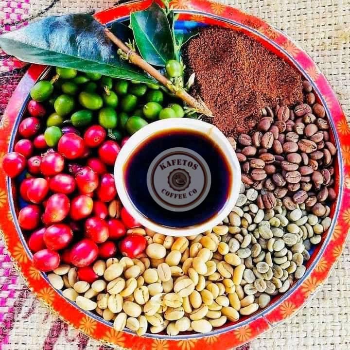 kafetos - All the stages of beans from green coffee cherries to roasted ground coffee