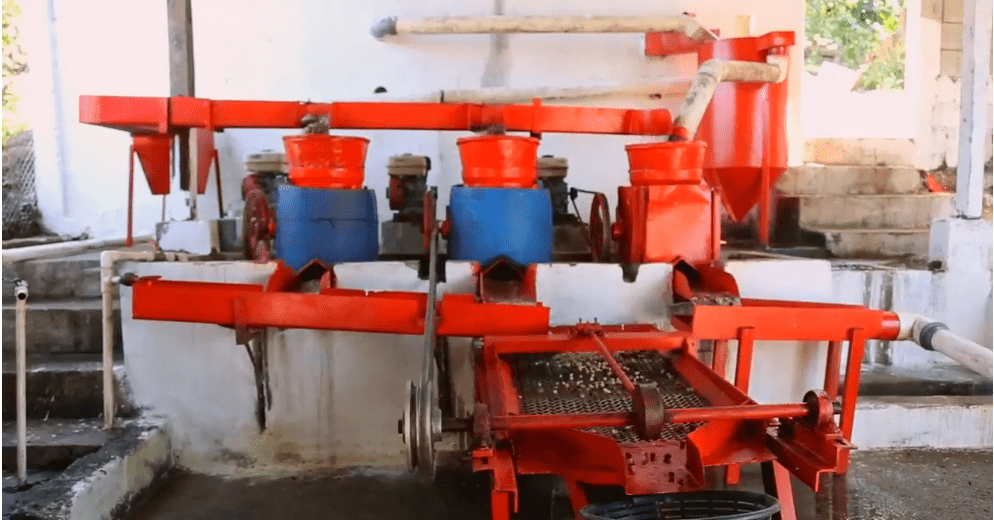 Kafetos Green bean washing and sorting machine