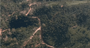 kafetos landscape