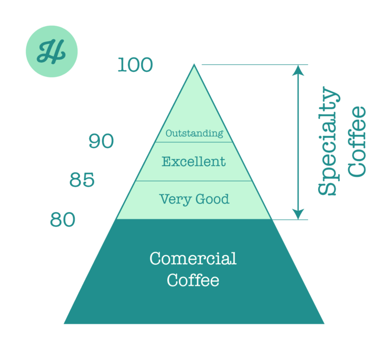 Specialty Coffee Grading Pyramid