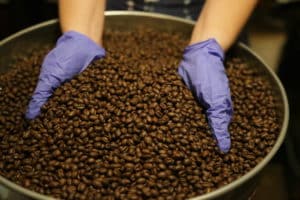 Nerd Java Tanzania Peaberry coffee beans in a tin can with hands