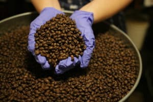 Nerd Java Tanzania Peaberry coffee beans in a tin can with hands