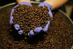 Nerd Java Tanzania Peaberry coffee beans in a tin can with hands