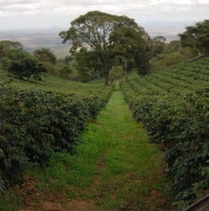 Tanzania landscape