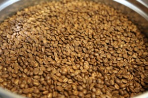 El Salvador Beans Blonde